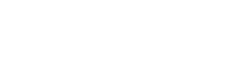 Veetis